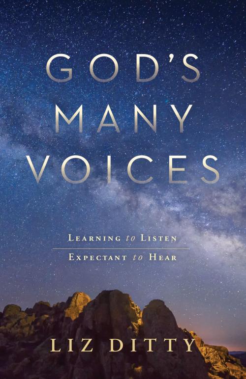 Cover of the book God's Many Voices by Liz Ditty, Worthy