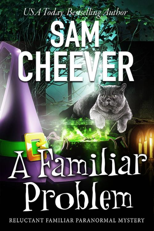 Cover of the book A Familiar Problem by Sam Cheever, Electric Prose Publications