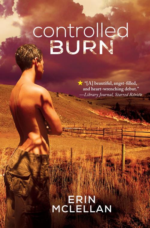 Cover of the book Controlled Burn by Erin McLellan, Erin McLellan