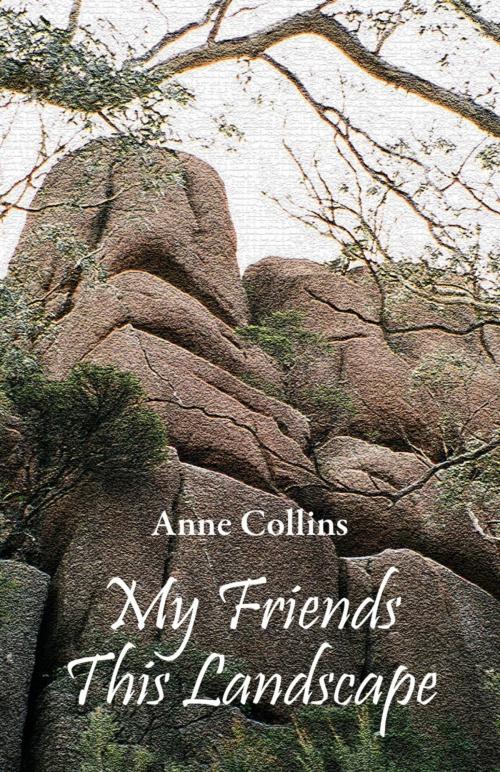 Cover of the book My Friends This Landscape by Anne Collins, Ginninderra Press