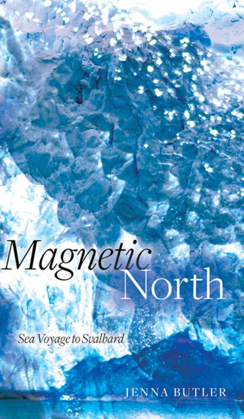 Cover of the book Magnetic North by Jenna Butler, The University of Alberta Press