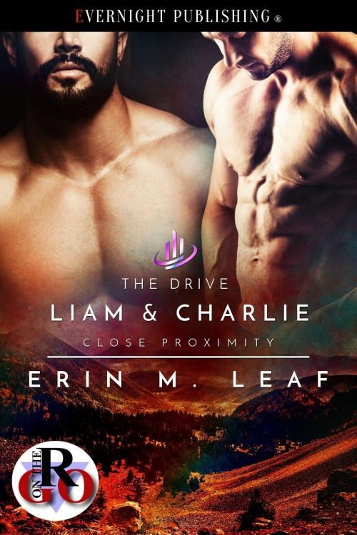 Cover of the book The Drive by Erin M. Leaf, Evernight Publishing