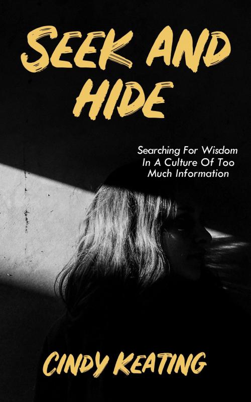 Cover of the book Seek and Hide by Cindy Keating, Four G Press