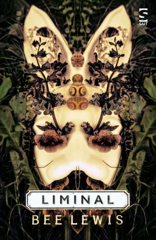 Cover of the book Liminal by Bee Lewis, Salt Publishing Limited