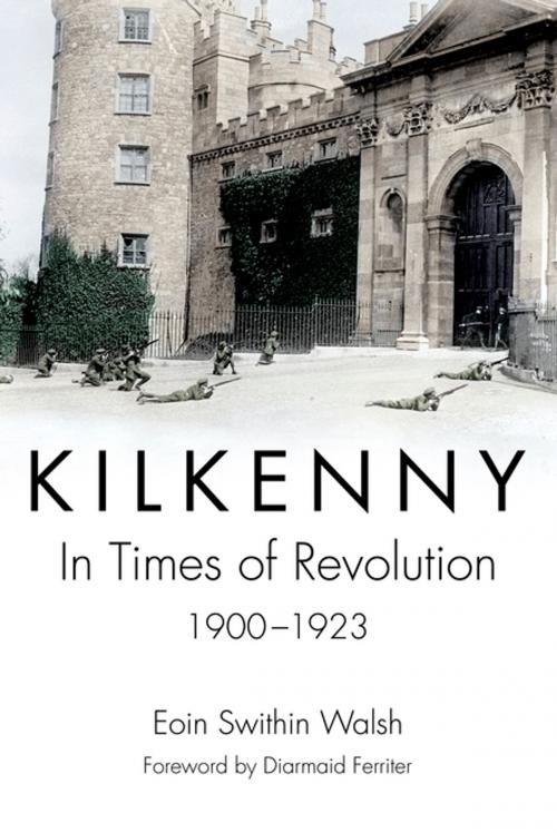 Cover of the book Kilkenny by Eoin Swithin Walsh, Diarmaid Ferriter, Irish Academic Press