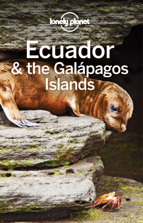 Cover of the book Lonely Planet Ecuador & the Galapagos Islands by Lonely Planet, Isabel Albiston, Brian Kluepfel, Wendy Yanagihara, Jade Bremner, Lonely Planet Global Limited