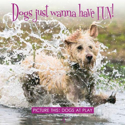 Cover of the book Dogs just wanna have FUN! by Cheryl Murphy, Veloce Publishing Ltd