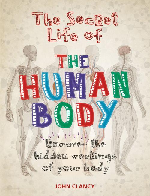 Cover of the book The Secret Life of the Human Body by John Clancy, Octopus Books