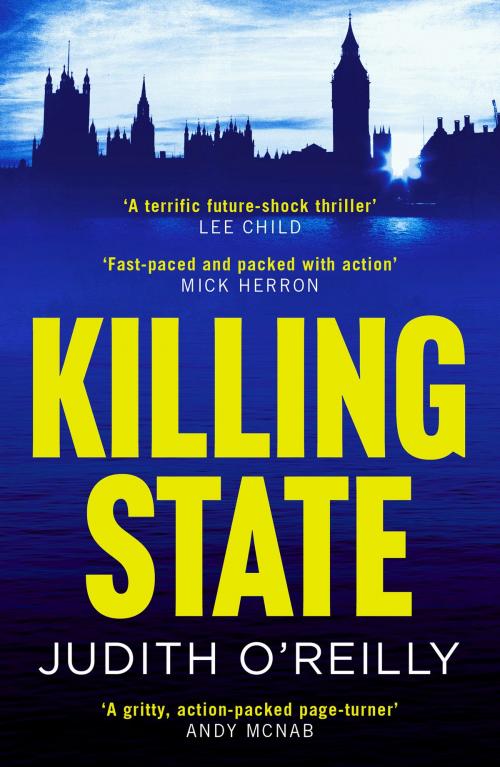 Cover of the book Killing State by Judith O'Reilly, Head of Zeus