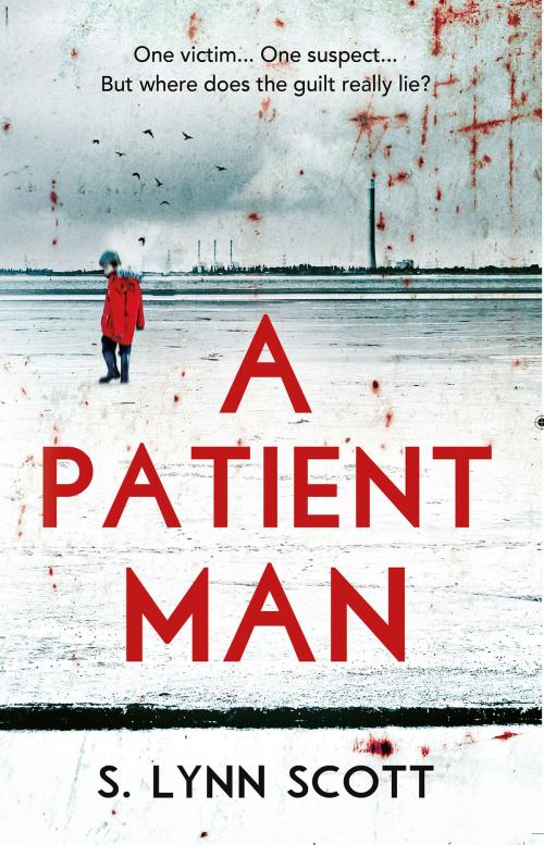 Cover of the book A Patient Man by S. Lynn Scott, Troubador Publishing Ltd