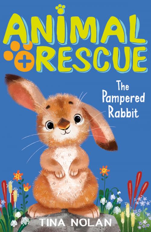 Cover of the book The Pampered Rabbit by Tina Nolan, Stripes Publishing
