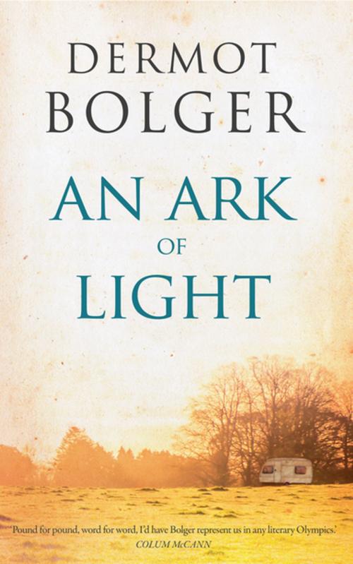 Cover of the book An Ark of Light by Dermot Bolger, New Island Books