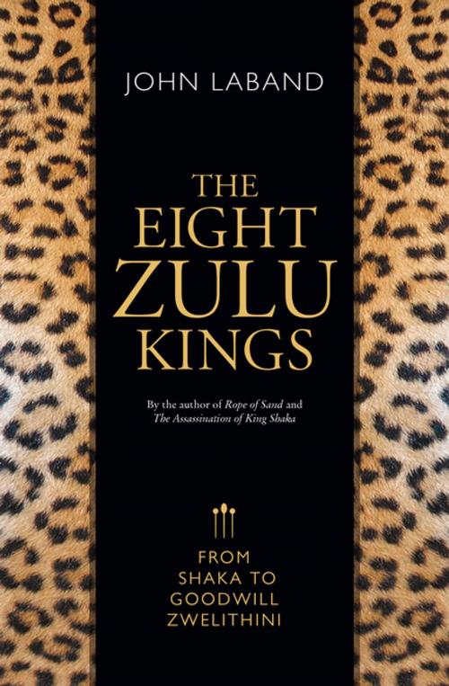 Cover of the book The Eight Zulu Kings by John Laband, Jonathan Ball Publishers