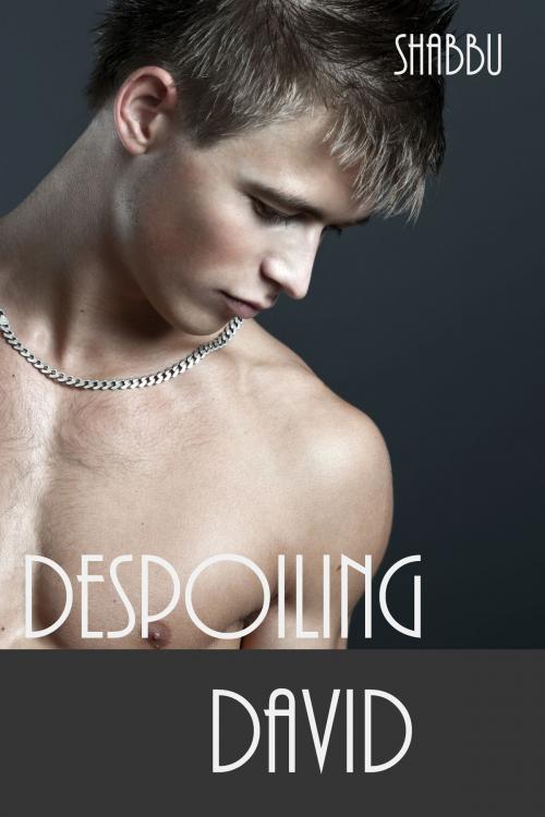 Cover of the book Despoiling David by Shabbu, BarbarianSpy