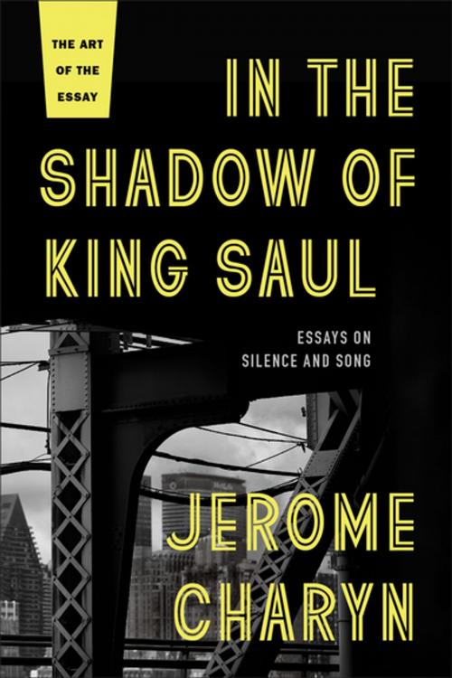 Cover of the book In the Shadow of King Saul by Jerome Charyn, Bellevue Literary Press