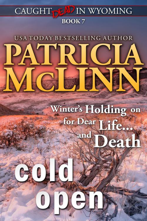Cover of the book Cold Open (Caught Dead in Wyoming) by Patricia McLinn, Craig Place Books