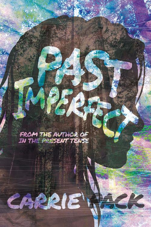 Cover of the book Past imperfect by Carrie Pack, Interlude Press