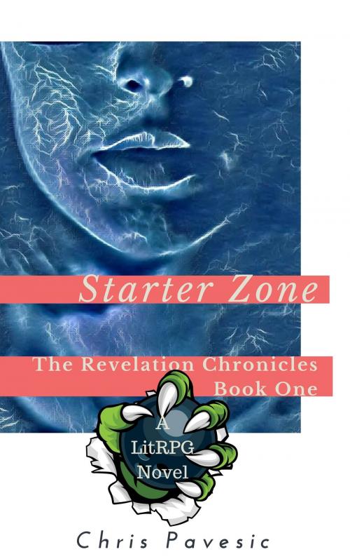 Cover of the book Starter Zone by Chris Pavesic, Chris Pavesic