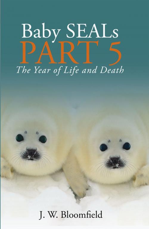 Cover of the book Baby Seals Part 5 by J.W. Bloomfield, WestBow Press