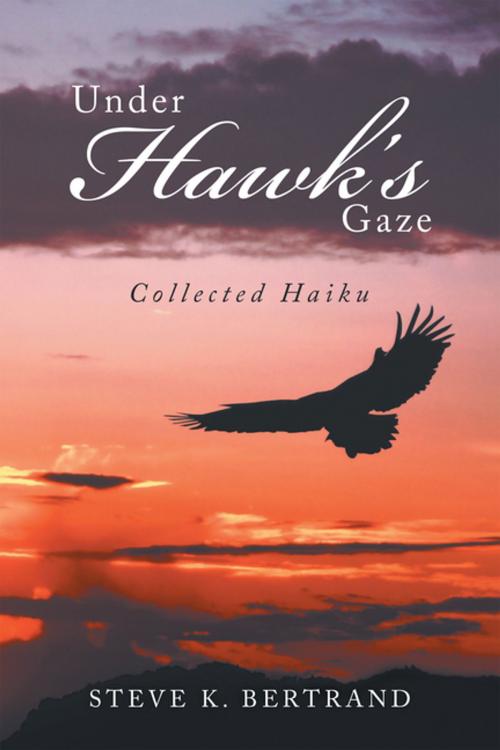 Cover of the book Under Hawk’S Gaze by Steve K. Bertrand, Xlibris US