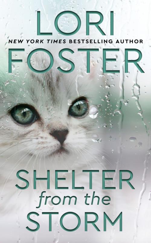 Cover of the book Shelter from the Storm by Lori Foster, Penguin Publishing Group