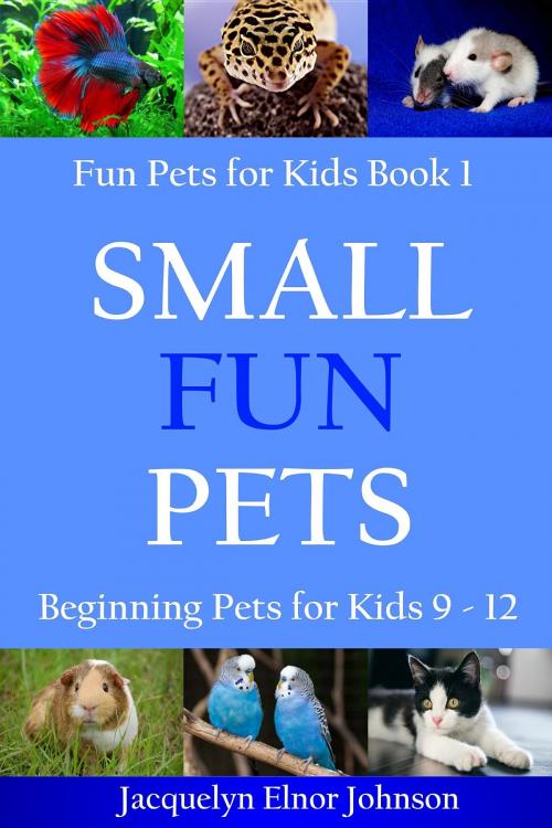 Cover of the book Small Fun Pets by Jacquelyn Elnor Johnson, Crimson Hill Products Inc.