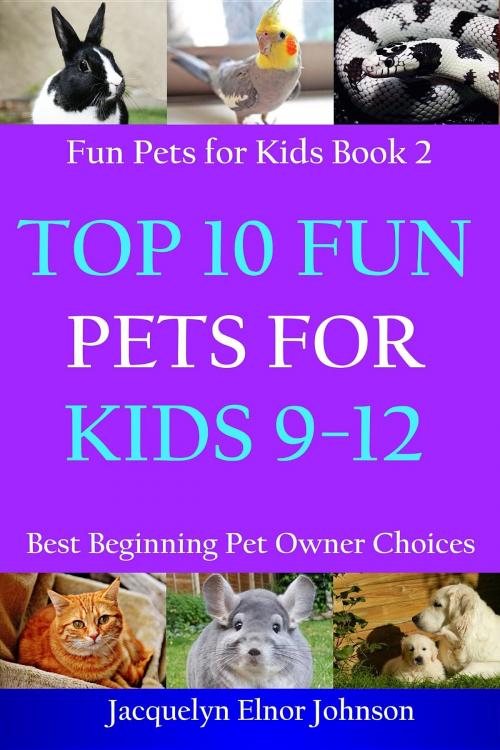 Cover of the book Top 10 Fun Pets for Kids 9-12 by Jacquelyn Elnor Johnson, Crimson Hill Products Inc.
