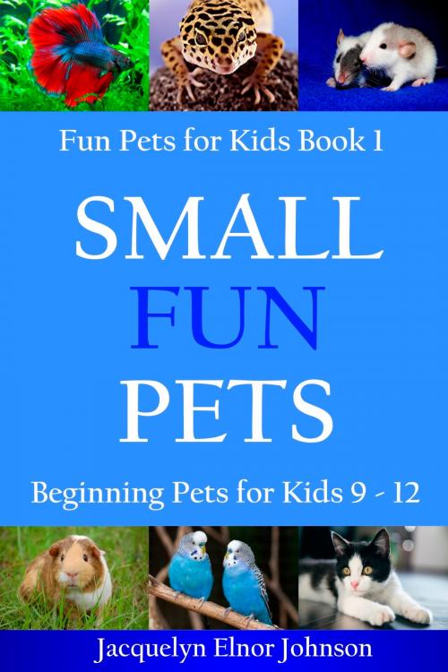 Cover of the book Small Fun Pets: Beginning Pets for Kids 9-12 by Jacquelyn Elnor Johnson, Crimson Hill Books