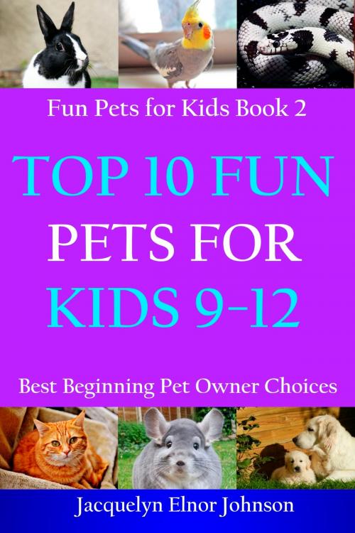 Cover of the book Top 10 Fun Pets for Kids 9-12 by Jacquelyn Elnor Johnson, Crimson Hill Books