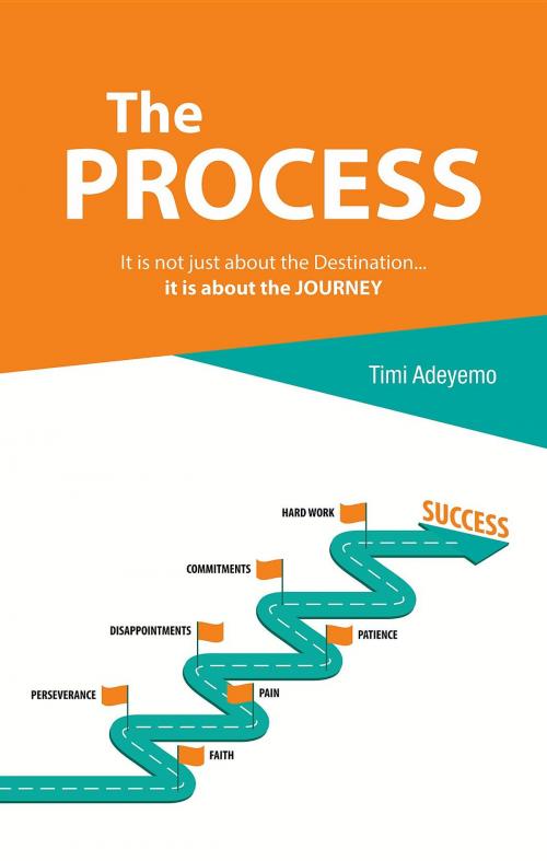 Cover of the book The Process by Timi Adeyemo, Timi Adeyemo