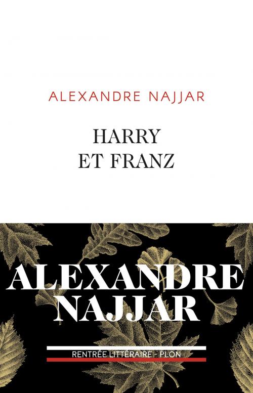 Cover of the book Harry et Franz by Alexandre NAJJAR, Place des éditeurs