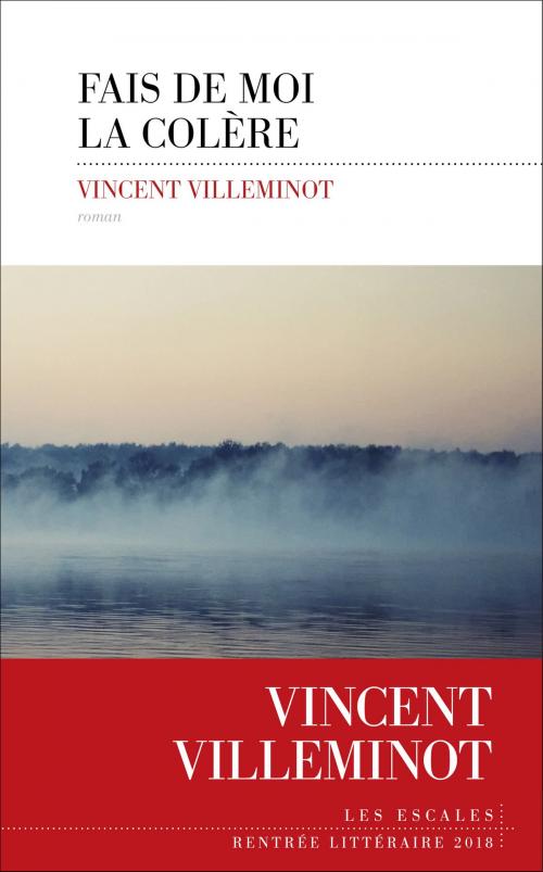 Cover of the book Fais de moi la colère by Vincent VILLEMINOT, edi8