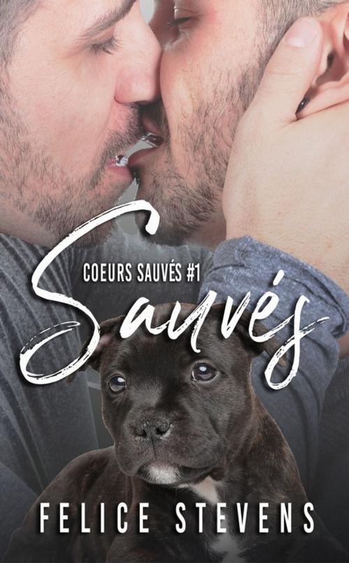 Cover of the book Sauvés by Felice Stevens, Juno Publishing