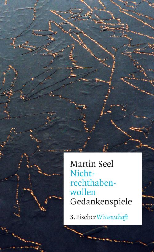 Cover of the book Nichtrechthabenwollen by Prof. Dr. Martin Seel, FISCHER E-Books
