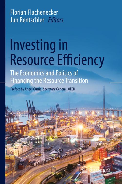 Cover of the book Investing in Resource Efficiency by , Springer International Publishing