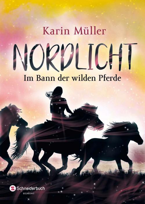 Cover of the book Nordlicht, Band 02 by Karin Müller, Egmont Schneiderbuch.digital