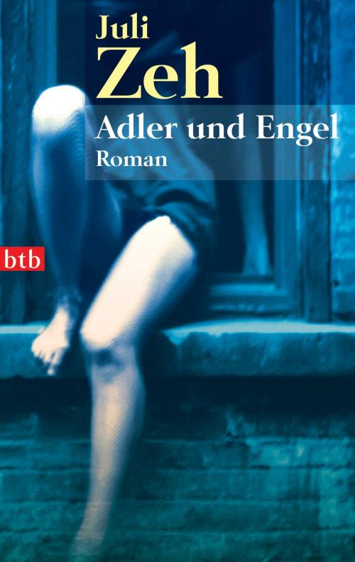 Cover of the book Adler und Engel by Juli Zeh, btb Verlag