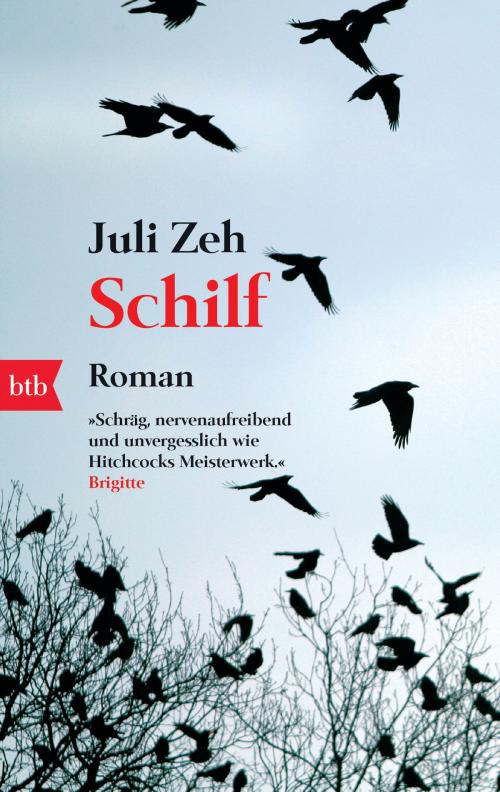 Cover of the book Schilf by Juli Zeh, btb Verlag