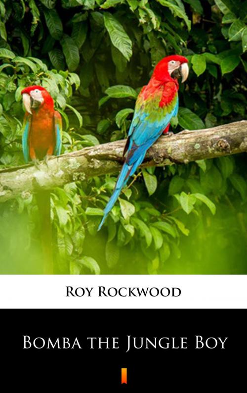Cover of the book Bomba the Jungle Boy by Roy Rockwood, Ktoczyta.pl