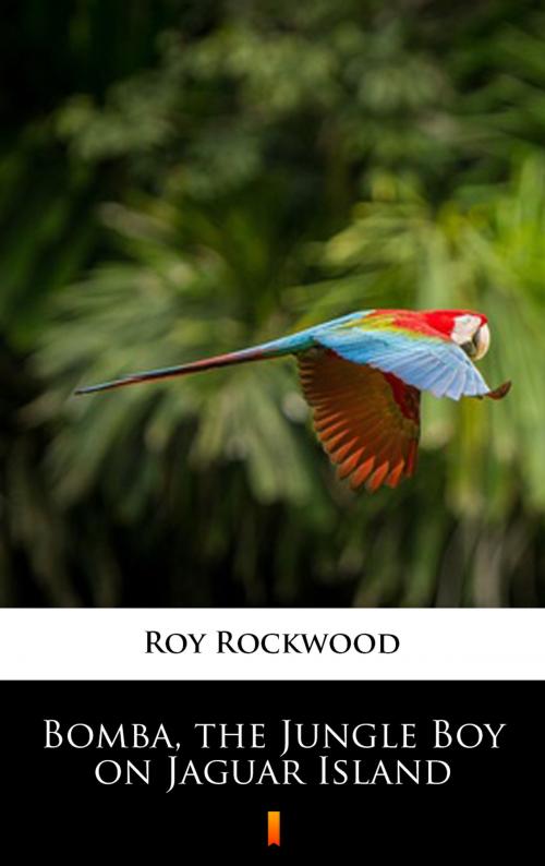 Cover of the book Bomba, the Jungle Boy on Jaguar Island by Roy Rockwood, Ktoczyta.pl