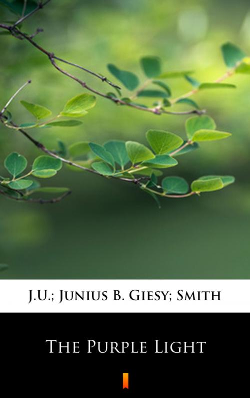 Cover of the book The Purple Light by J.U.; Junius B. Giesy; Smith, Ktoczyta.pl
