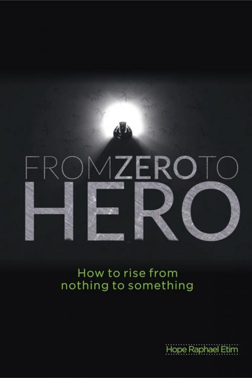 Cover of the book From Zero to Hero by Hope Etim, Hope Etim