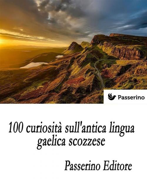 Cover of the book 100 curiosità sull'antica lingua gaelica scozzese by Passerino Editore, Passerino