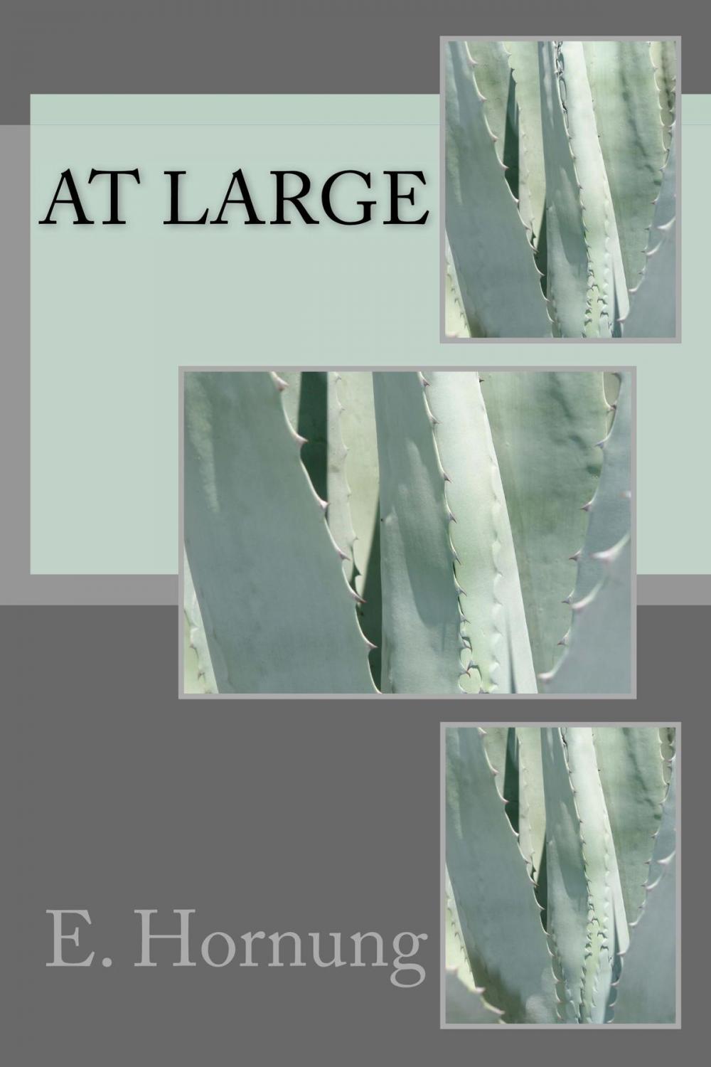 Big bigCover of At Large