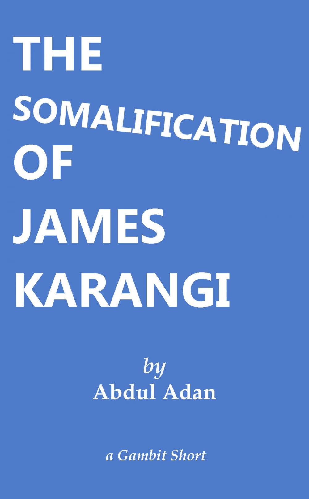 Big bigCover of The Somalification of James Karangi
