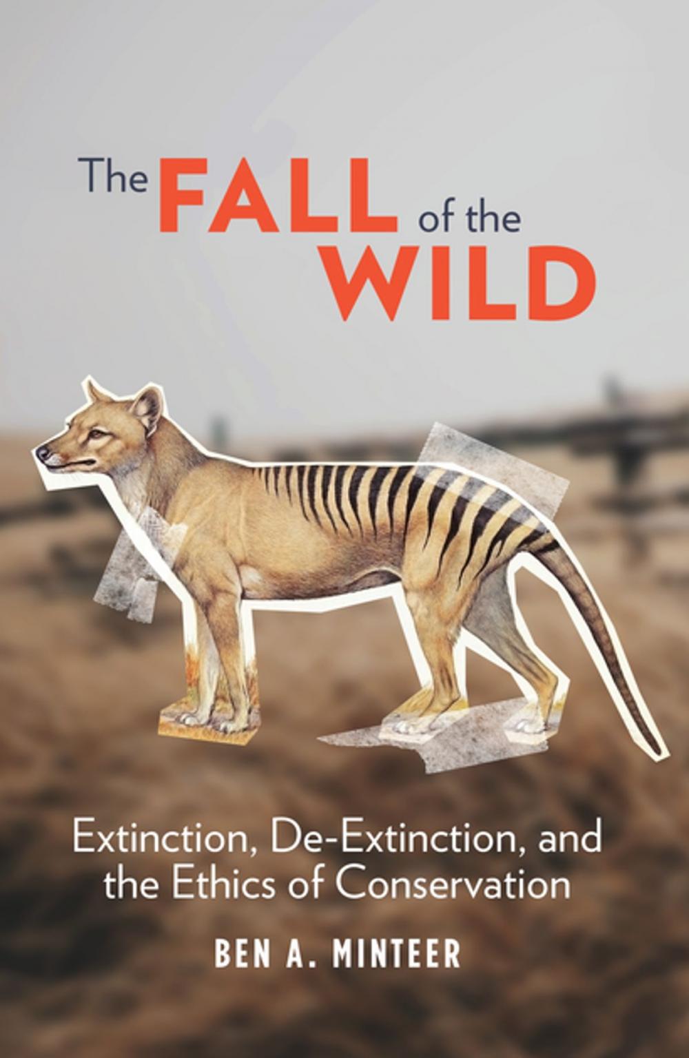 Big bigCover of The Fall of the Wild