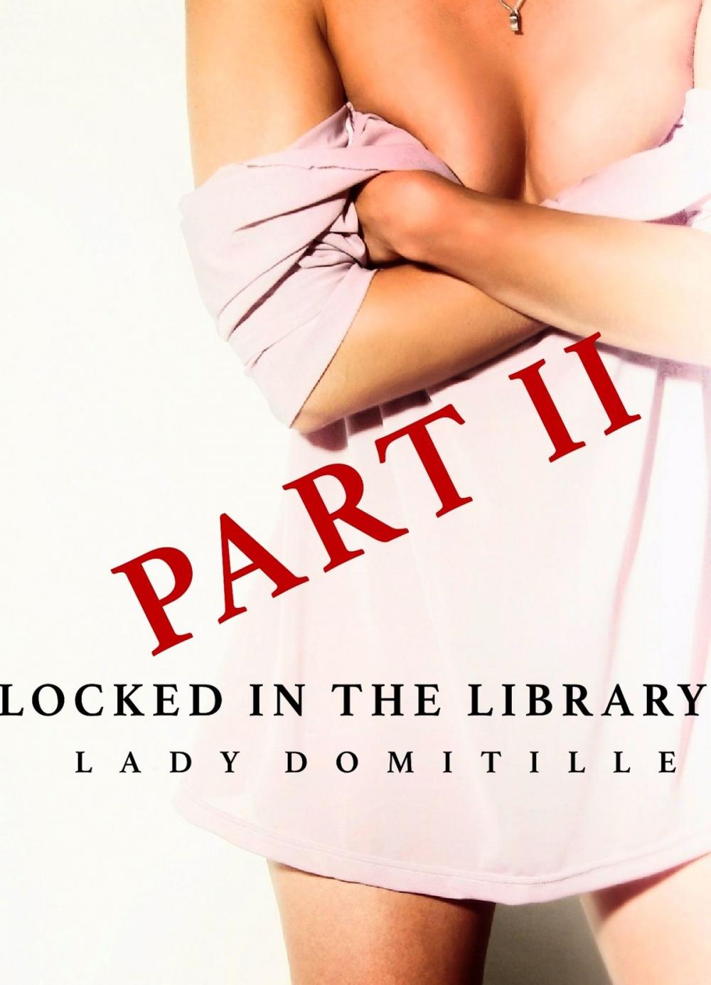 Big bigCover of Locked in the Library: Part II