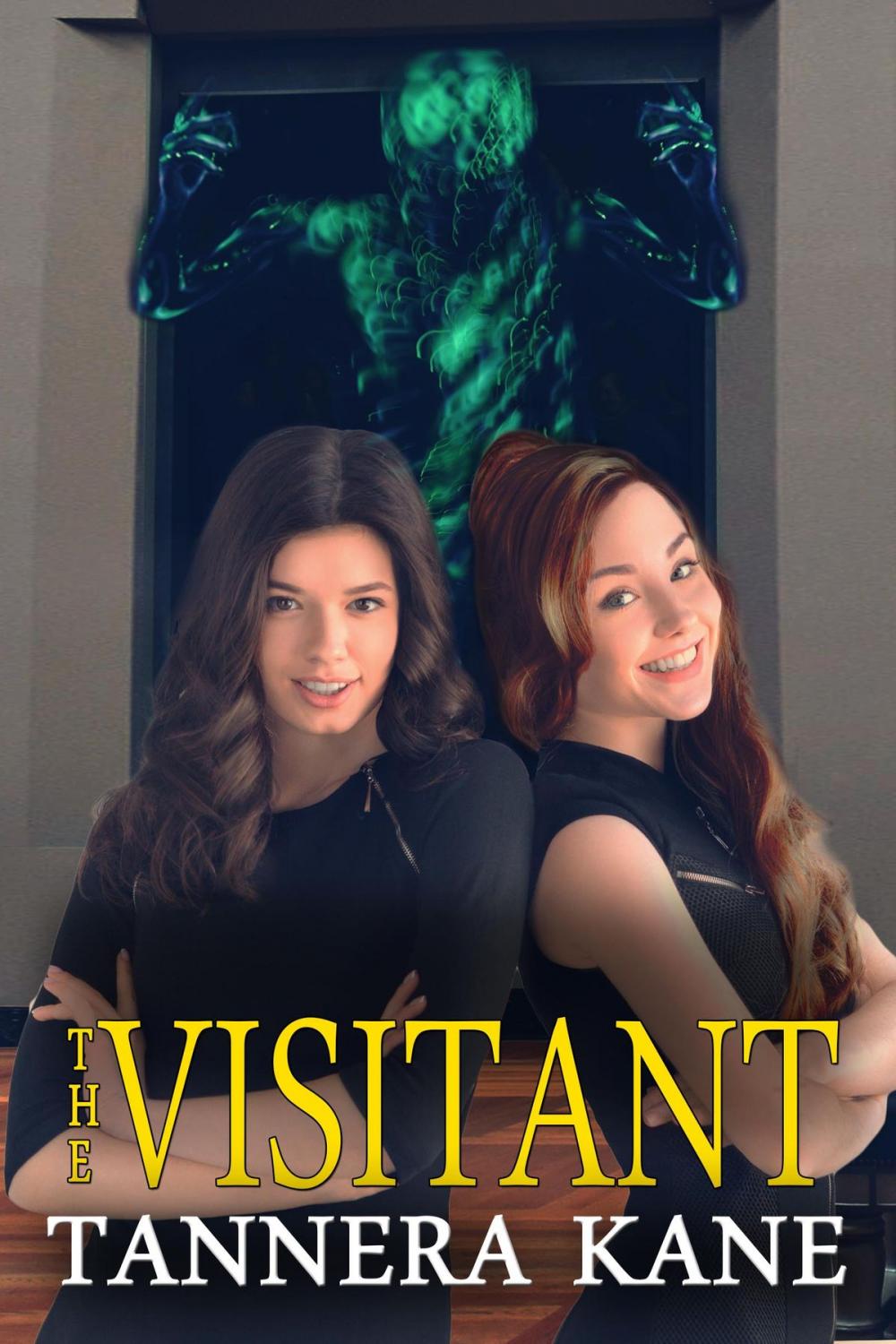 Big bigCover of The Visitant
