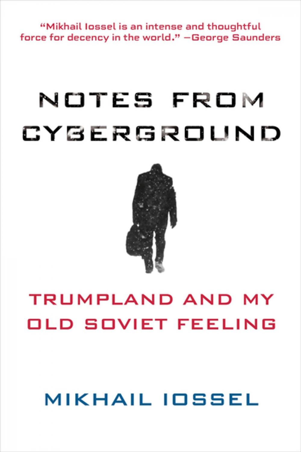 Big bigCover of Notes from Cyberground