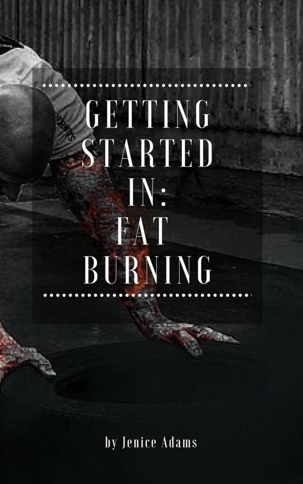 Big bigCover of Getting Started in: Fat Burning